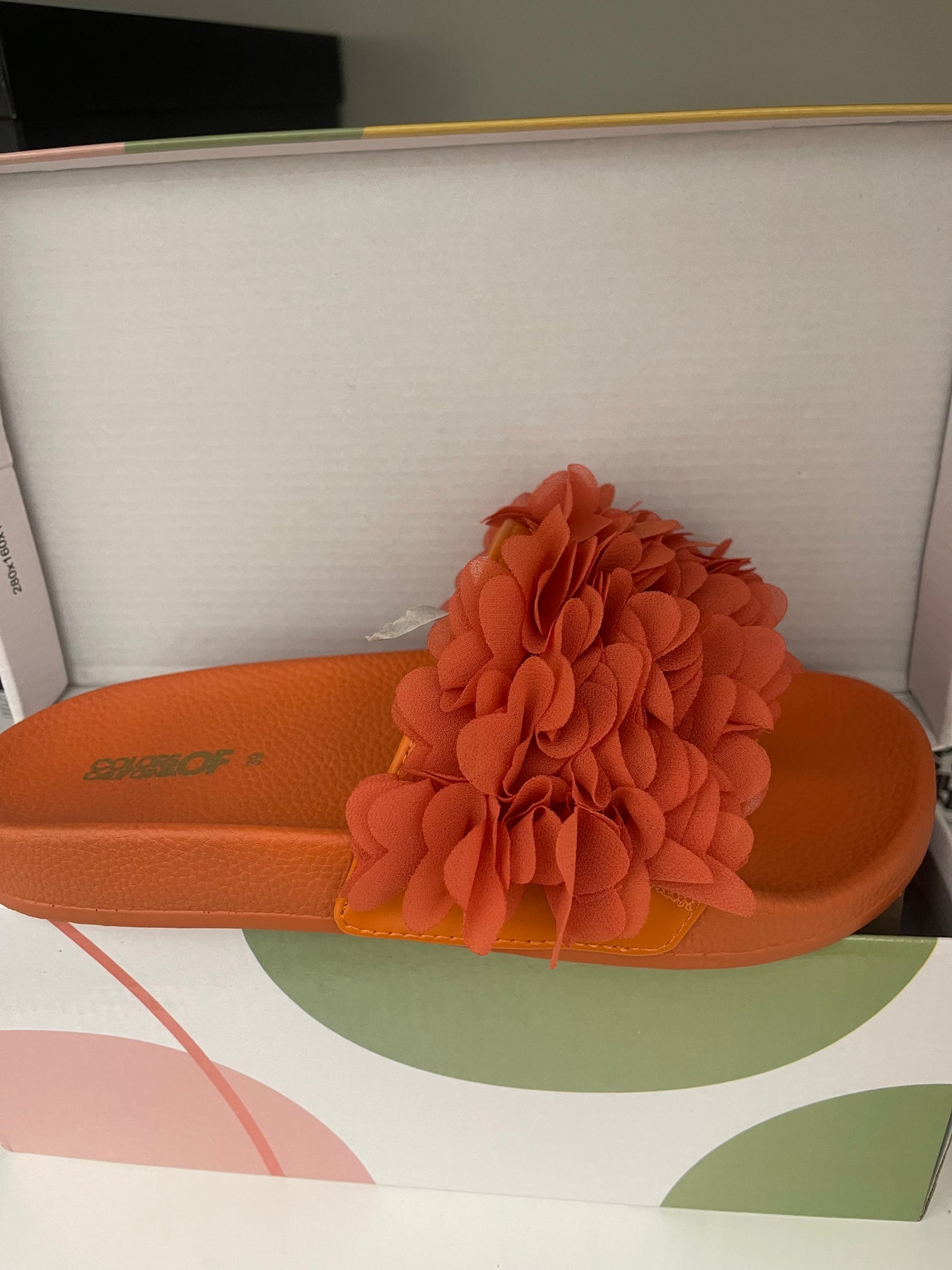 Colors of California Flower Trim Slide