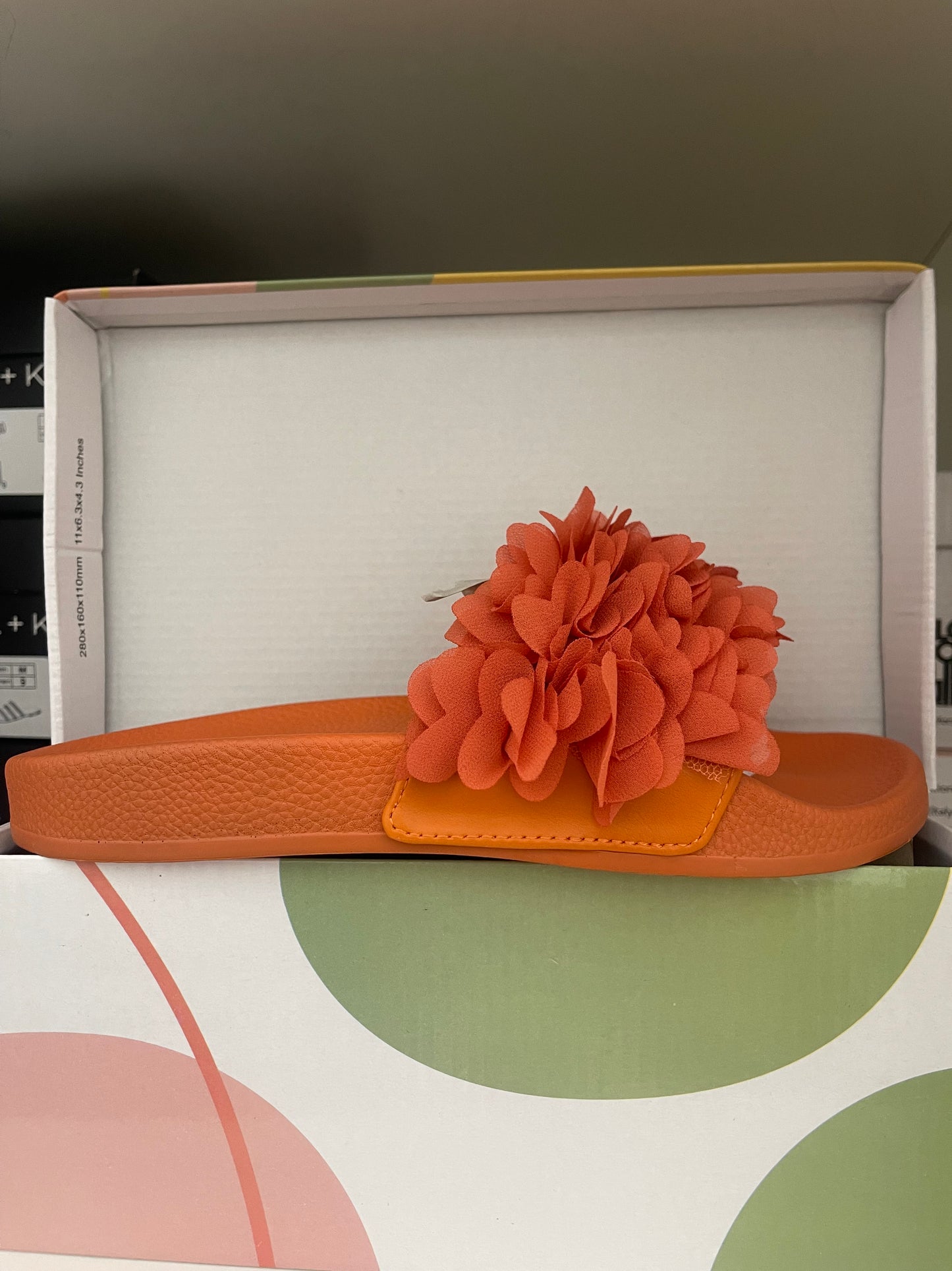 Colors of California Flower Trim Slide