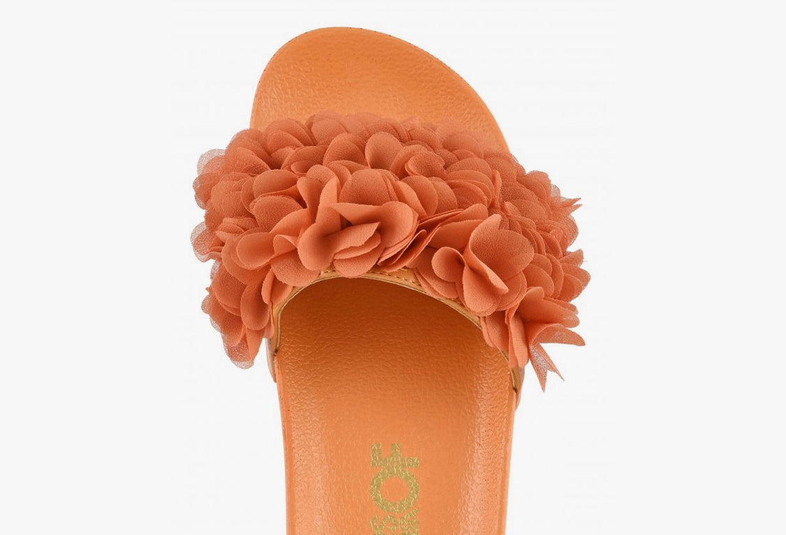 Colors of California Flower Trim Slide