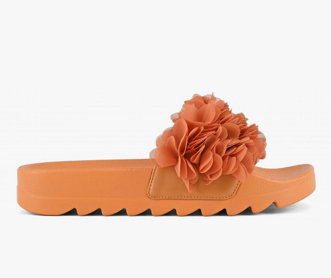 Colors of California Flower Trim Slide