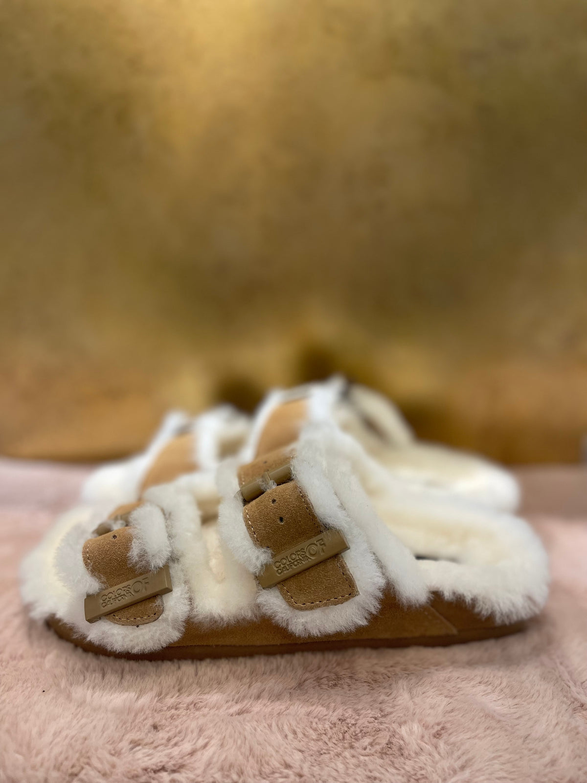 COLORS OF CALIFORNIA  FUR SLIDES HC.SHSLOF101
