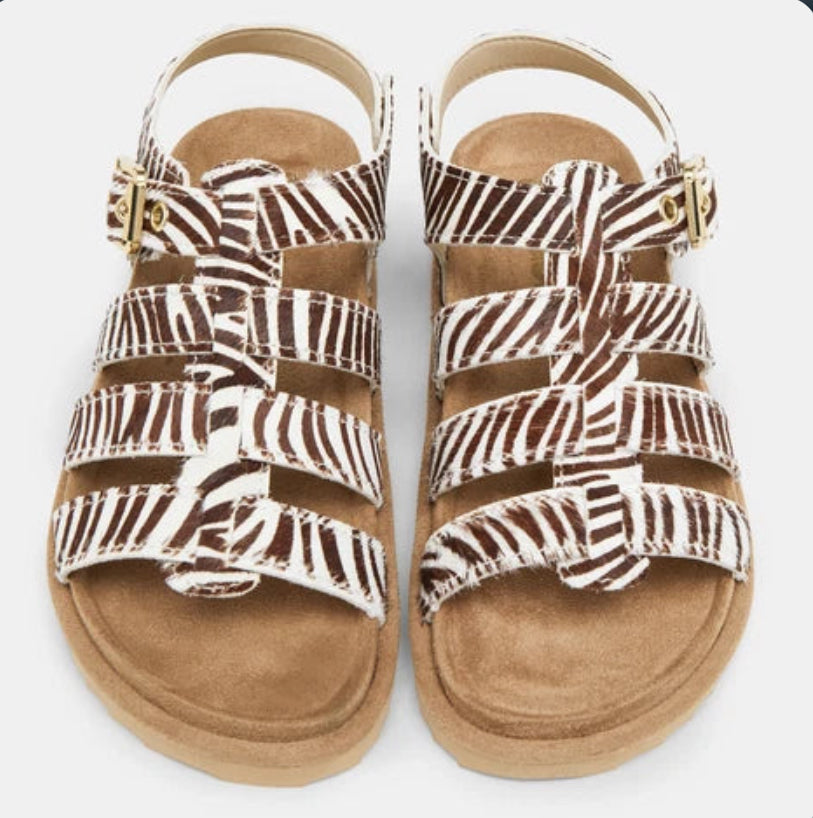 COLORS OF CALIFORNIA GLADIATOR ZEBRA SANDAL