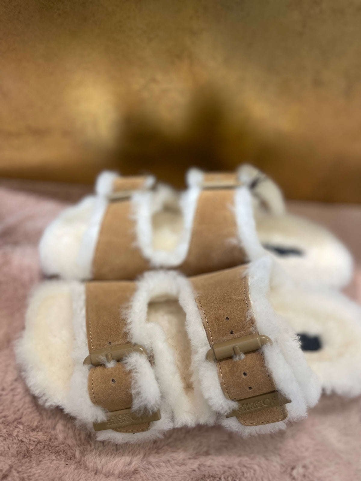COLORS OF CALIFORNIA  FUR SLIDES HC.SHSLOF101