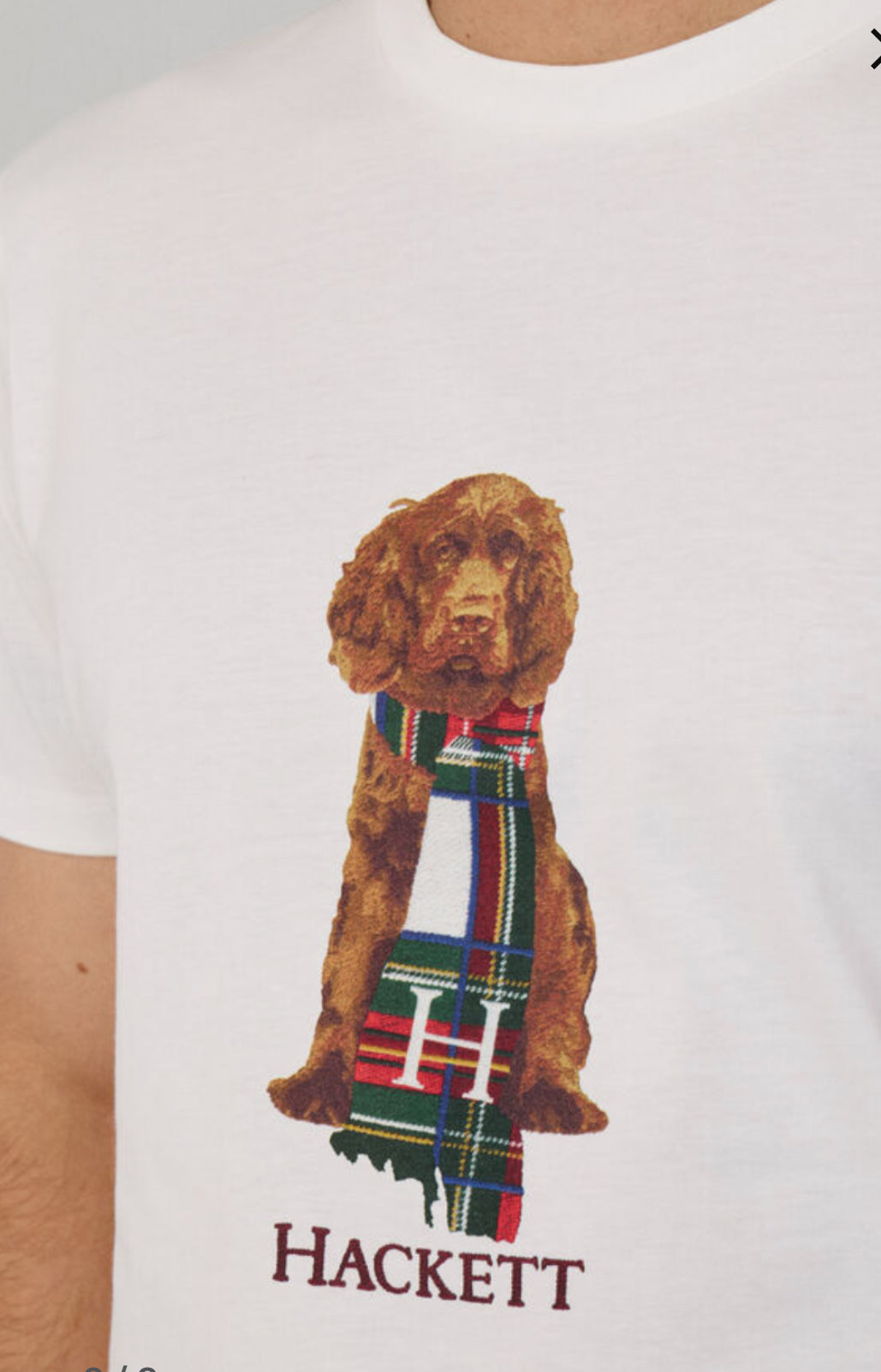 HACKETT CLASSIC FIT HARRY T-SHIRT HM