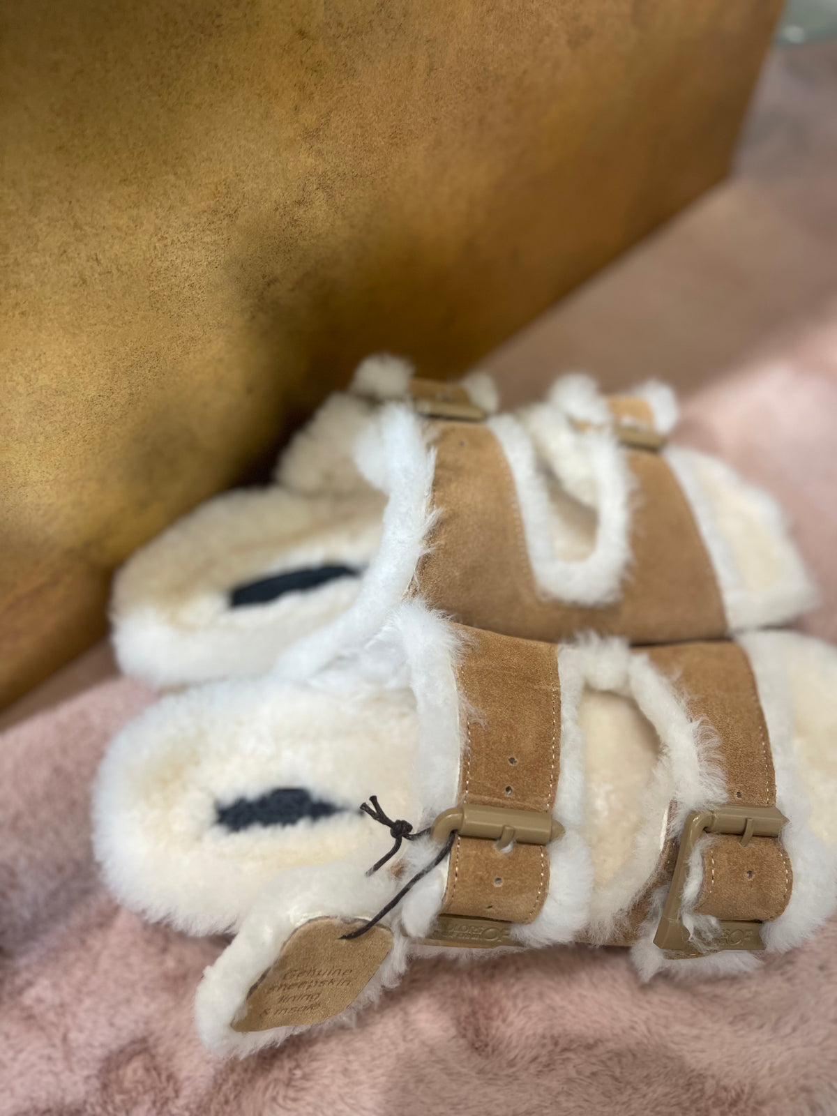 COLORS OF CALIFORNIA  FUR SLIDES HC.SHSLOF101