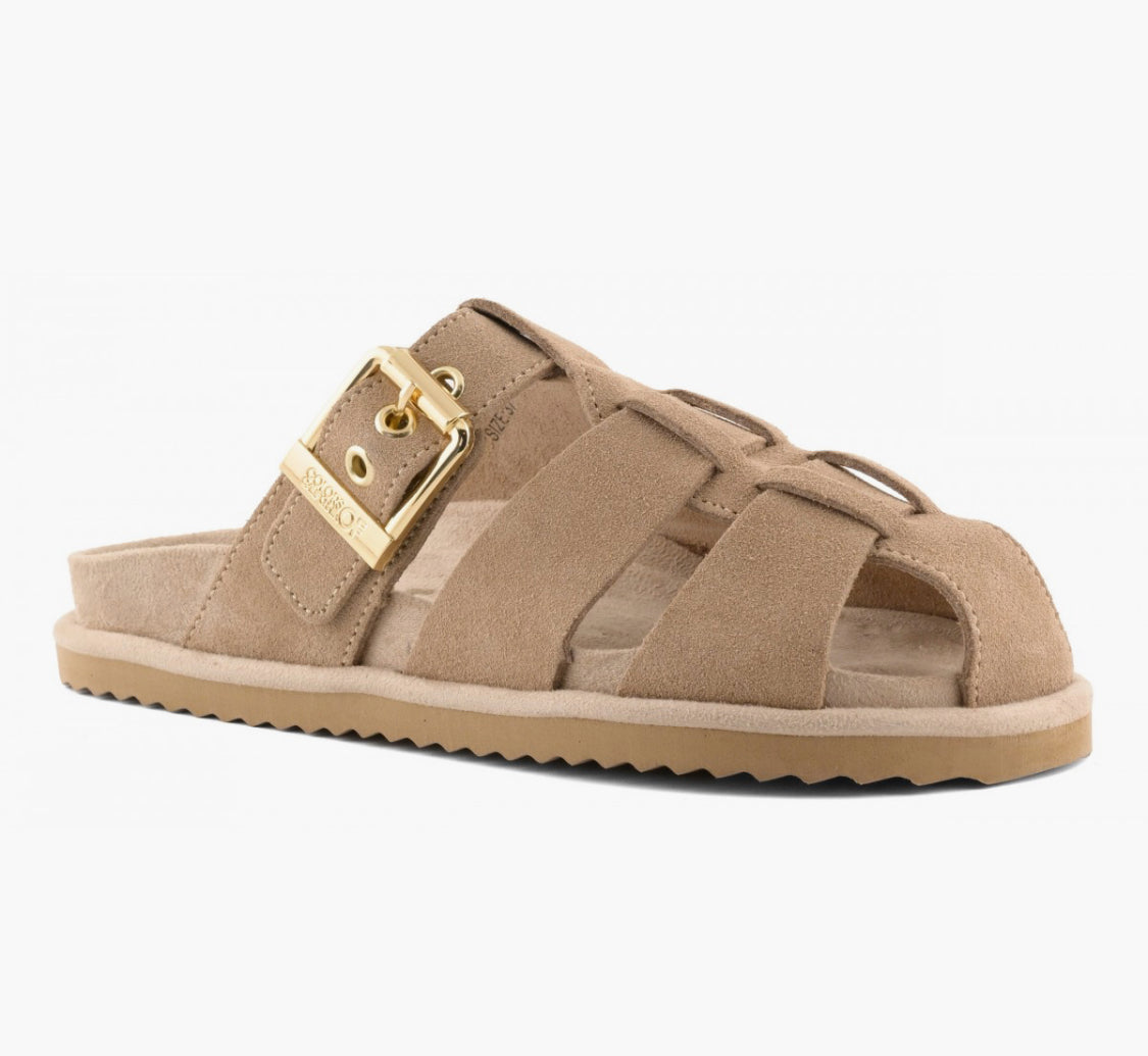 Colors of California slofiw suede sandal HC.BIOW601