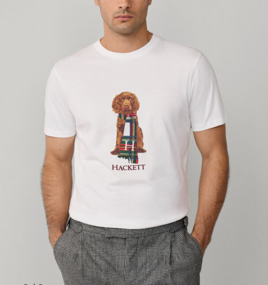 HACKETT CLASSIC FIT HARRY T-SHIRT HM