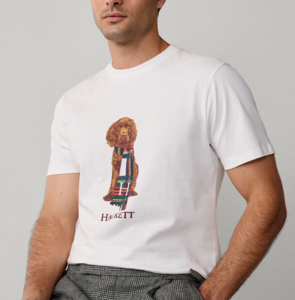 HACKETT CLASSIC FIT HARRY T-SHIRT HM