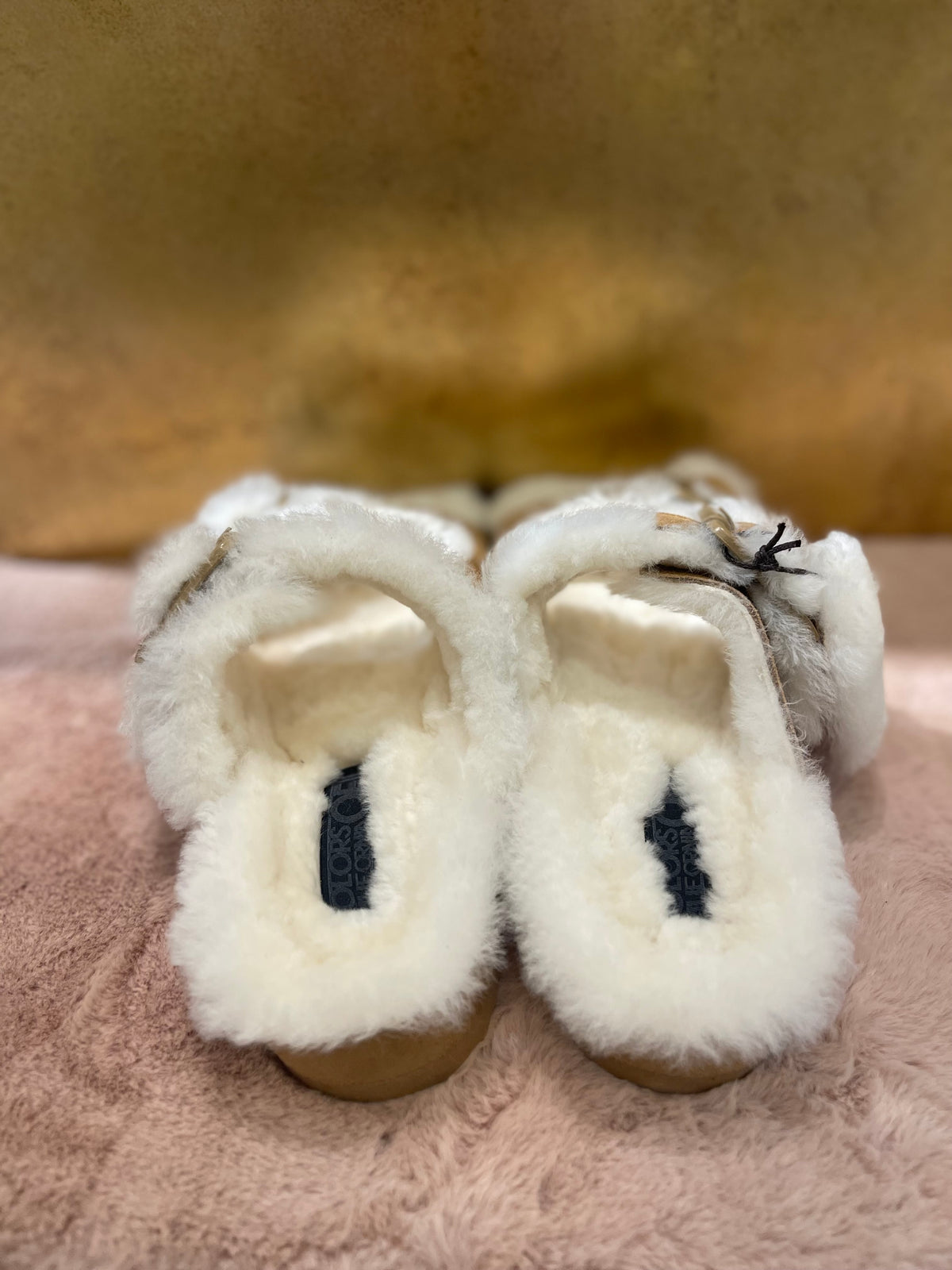 COLORS OF CALIFORNIA  FUR SLIDES HC.SHSLOF101