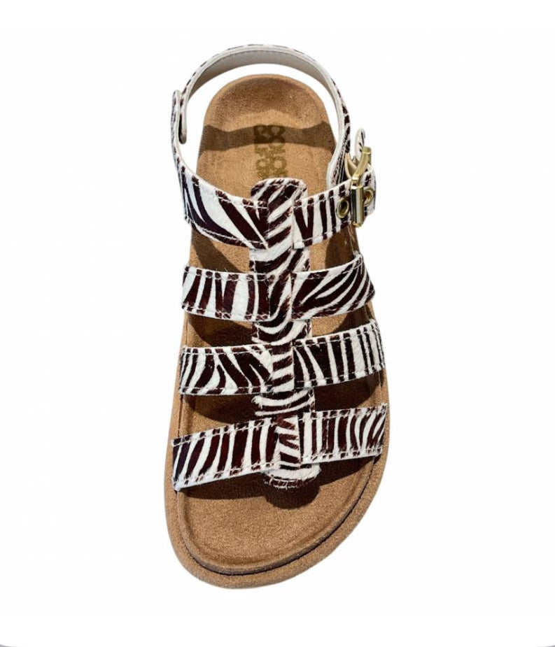 COLORS OF CALIFORNIA GLADIATOR ZEBRA SANDAL