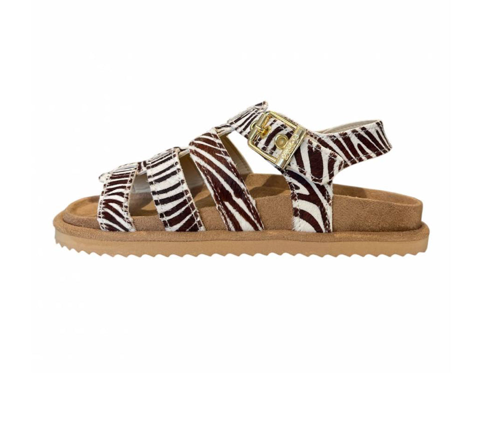 COLORS OF CALIFORNIA GLADIATOR ZEBRA SANDAL