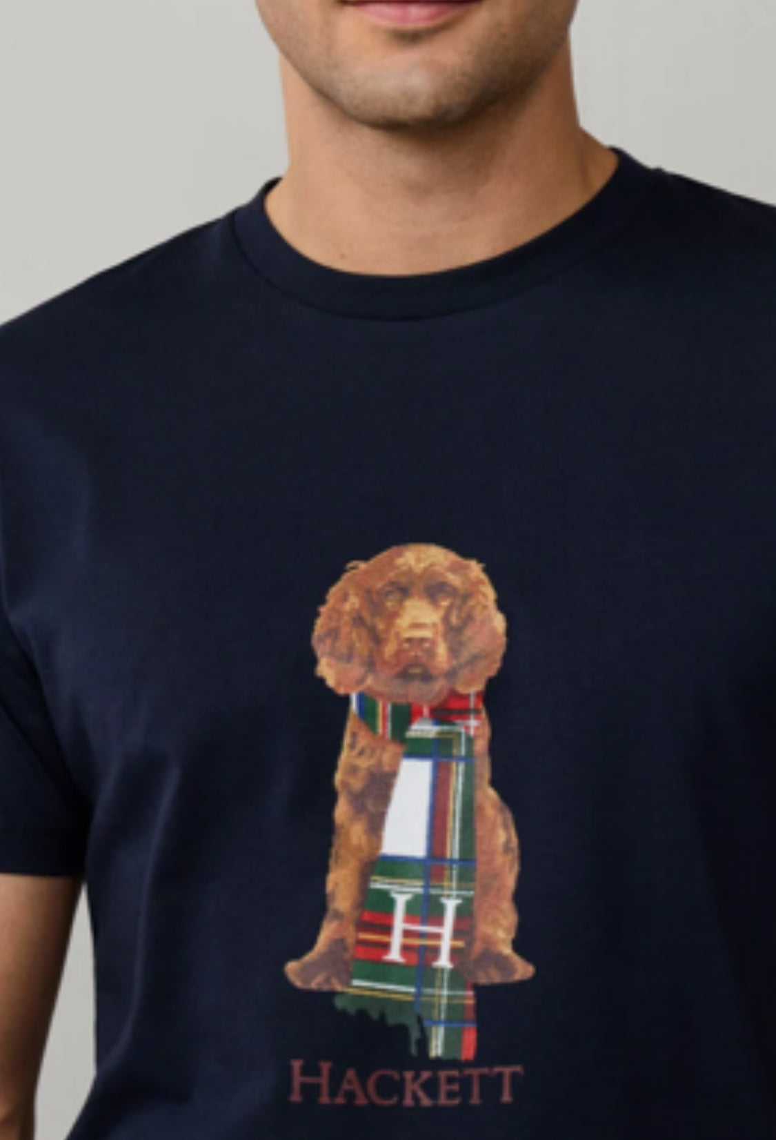 HACKETT Classic Fit Harry       T-Shirt