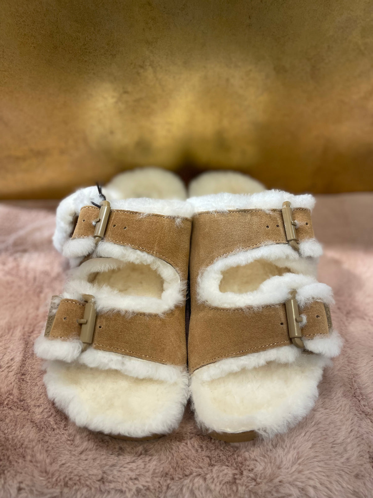 COLORS OF CALIFORNIA  FUR SLIDES HC.SHSLOF101