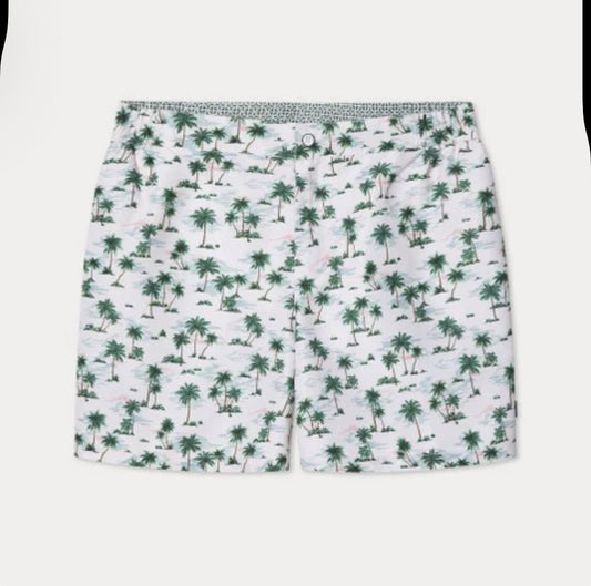 HACKETT PALMS TAILORED HMB10099
