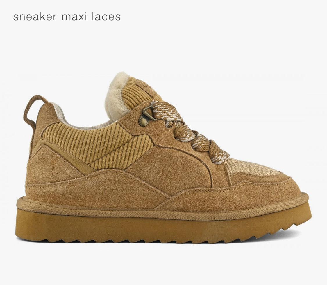 Colors of California – paraSUERTE