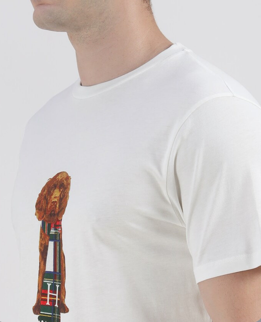 HACKETT CLASSIC FIT HARRY T-SHIRT HM