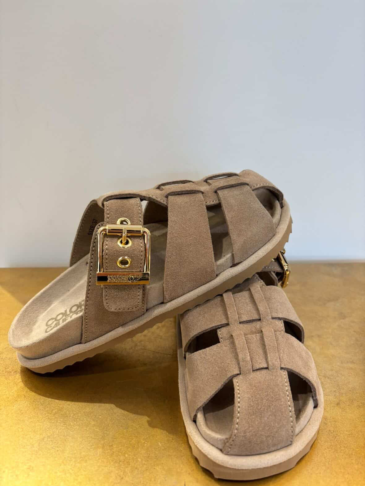 Colors of California slofiw suede sandal HC.BIOW601