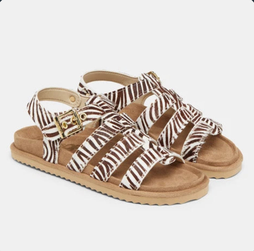 COLORS OF CALIFORNIA GLADIATOR ZEBRA SANDAL